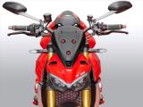 Ducabike Verkleidungsscheibe Sport Ducati Streetfighter V4