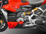 Ducabike Lichtmaschinenprotektor Ducati Streetfighter V2